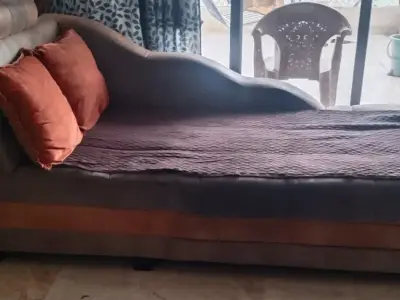Lounger