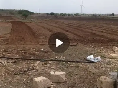 26 Vigha Road Touch Agricultural Land for Sale