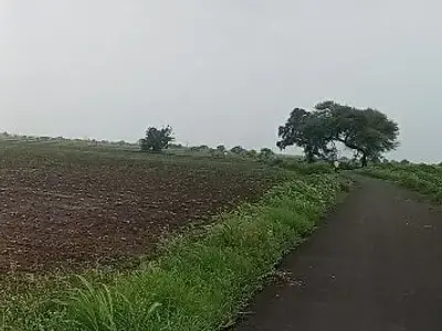 Road Touch Farmland Plot in Savarkundla