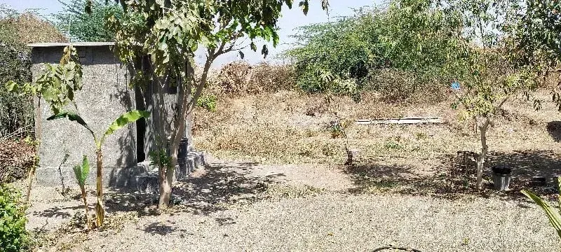 Gausala / Stable Land with Shed - જમીન અને પ્લોટ - રાજકોટ શહેર - Image 2