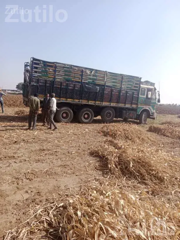 Agricultural Land for Sale Near NH 27 - જમીન અને પ્લોટ - ભુજ - Image 2