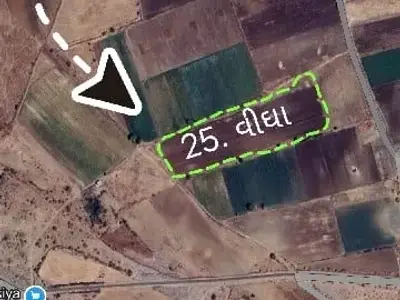25 Vigha Agriculture Land in Kalavad 25 Vigha Agriculture Land in Kalavad