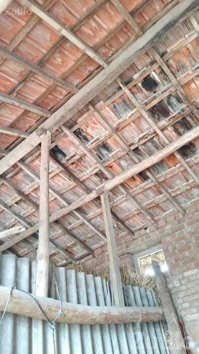 Old Roof Tiles and Wooden Beams Scrap - વિવિધ - તાળાજા - Image 2