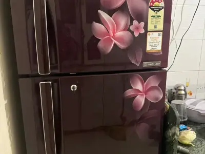 Lg refrigerator Lg refrigerator