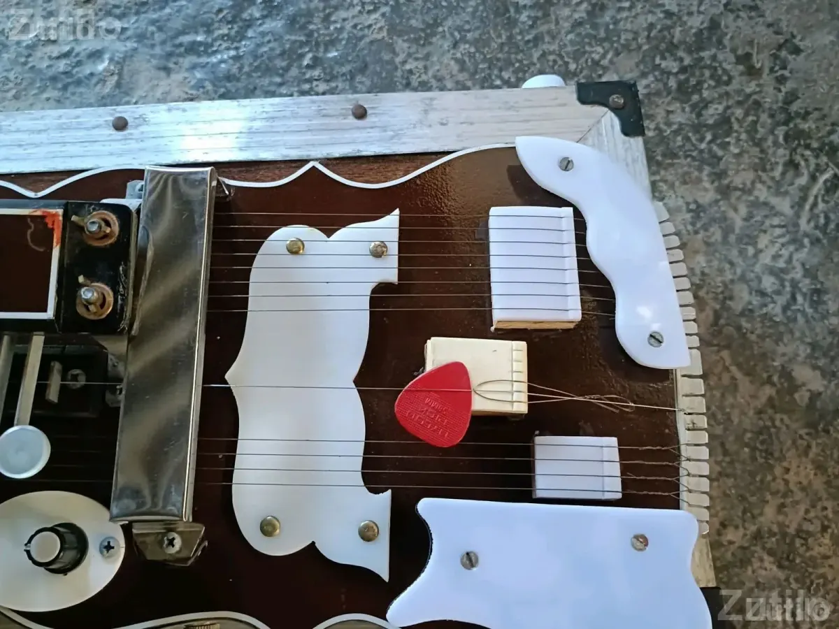 29 Key Banjo with Monitor and Case - Musical Instruments - Bhavnagar City - Image 2