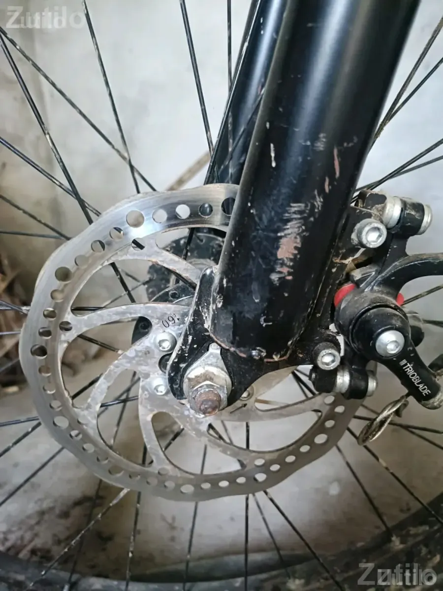 Sunbird Off-Road Adult Bicycle - Adult Bicycles - Bhiloda - Image 3