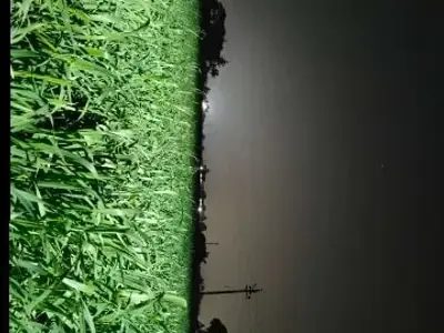 Highway Touch Fertile Agricultural Land Highway Touch Fertile Agricultural Land