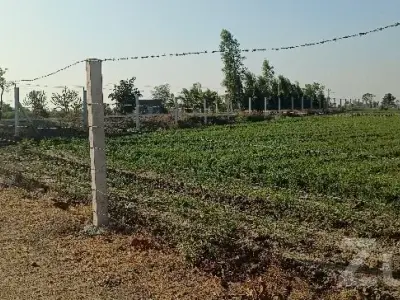 Fenced Agricultural Plot 2.5 Rod Tach Land Fenced Agricultural Plot 2.5 Rod Tach Land