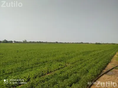 Land for sale Land for sale