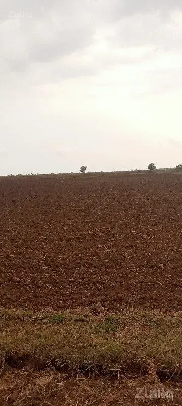 જમીન - Land & Plots - Kutiyana - Image 2
