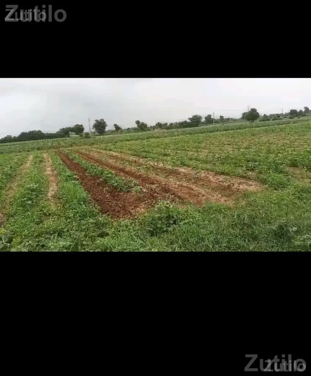Corner Land Plot for Sale with 2 Road Access - Land & Plots - Ahmedabad City - Image 2