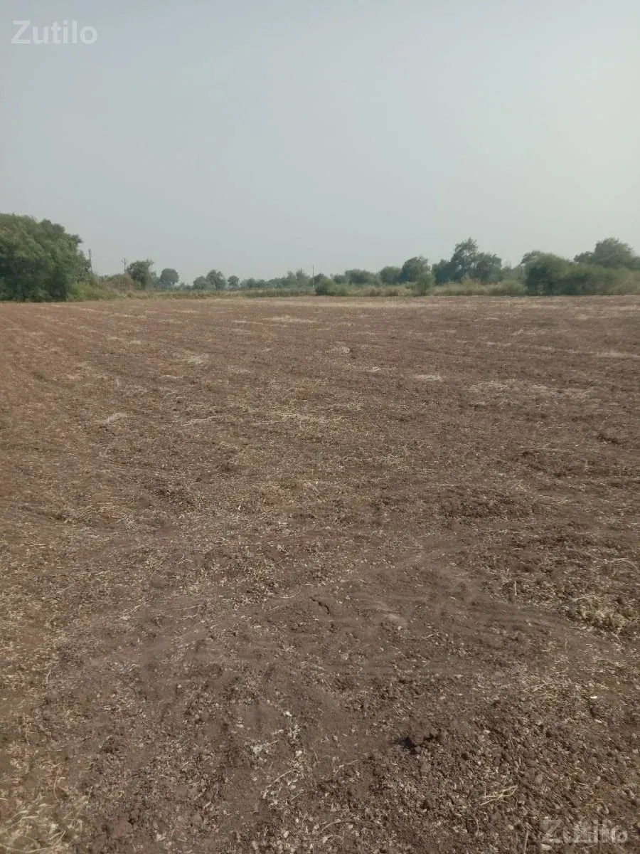 જમીન વેશવાની છે - જમીન અને પ્લોટ - જામજોધપુર - Image 3