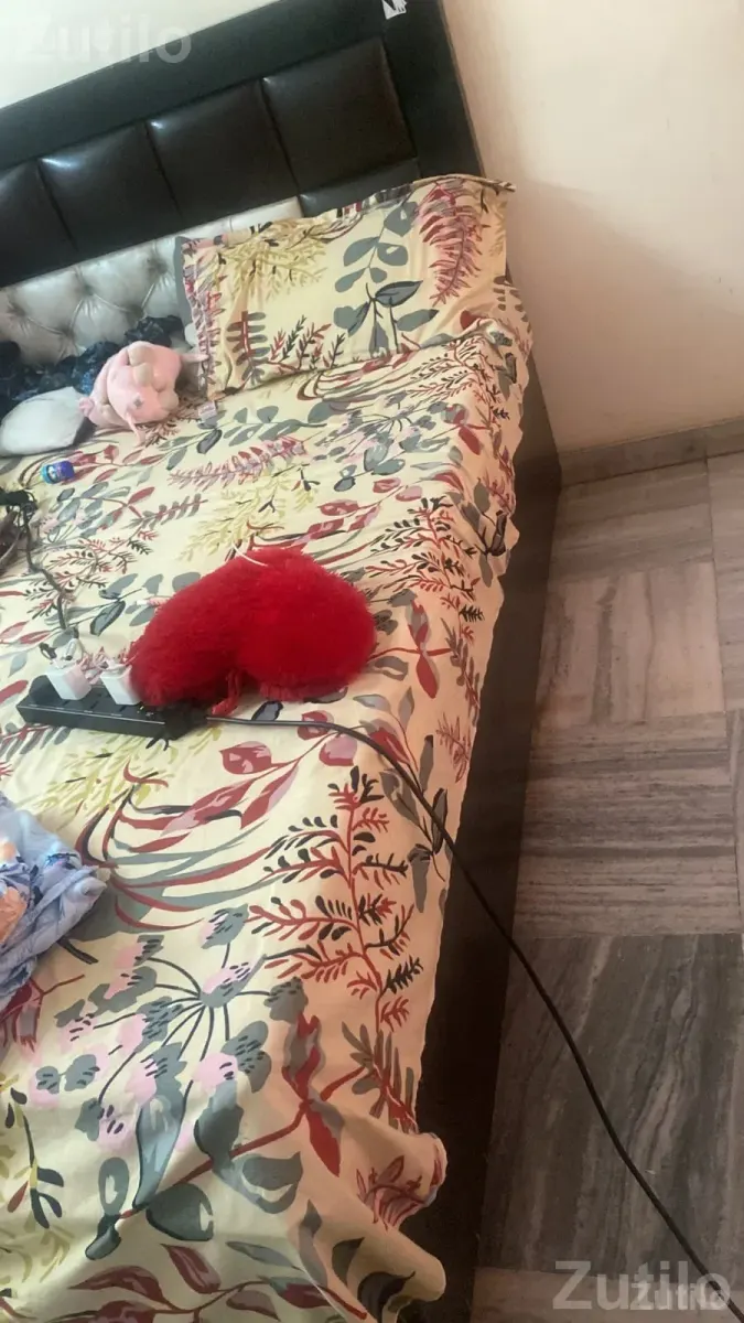 Double bed and dressing - પાંખા અને ગાદી - સુરત શહેર - Image 3