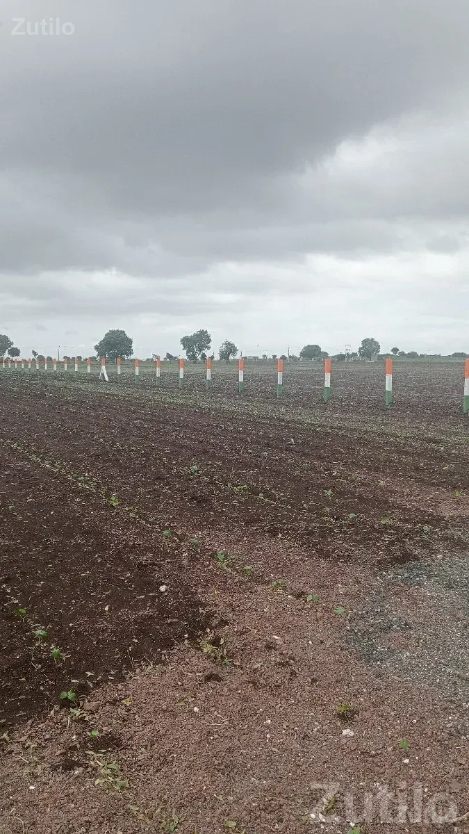Fertile Agricultural Land for Sale Rajkot - જમીન અને પ્લોટ - રાજકોટ શહેર - Image 3