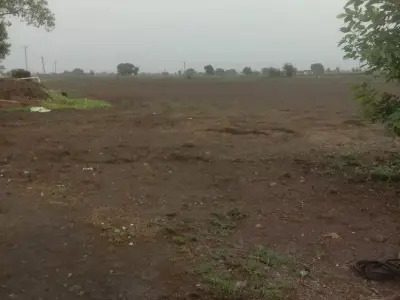 જમીન વેચવા ની છે જમીન વેચવા ની છે