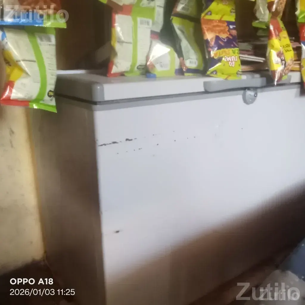 Commercial Deep Freezer for Shop Use - ફ્રિજ - કુટિયાણા - Image 3