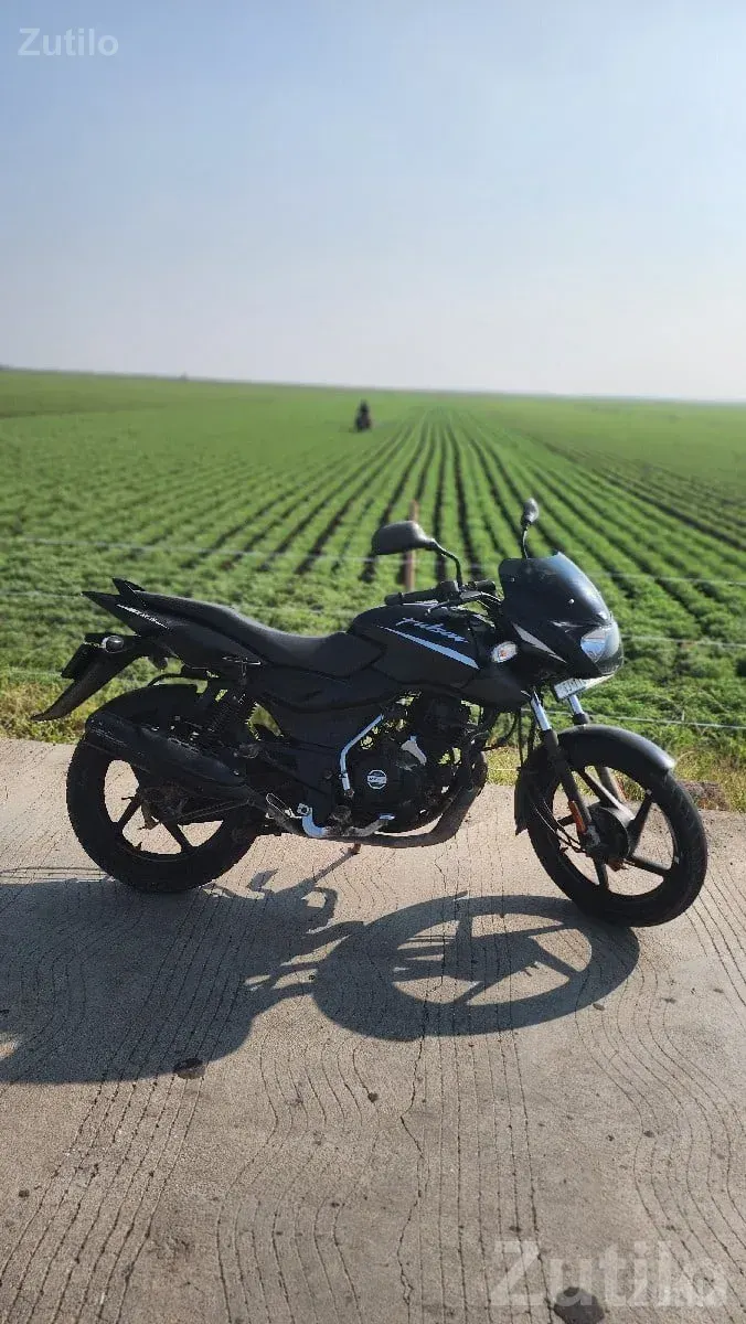 Bajaj Pulsar 125 Black Bike - બાઇક્સ - માંગ્રોળ - Image 2