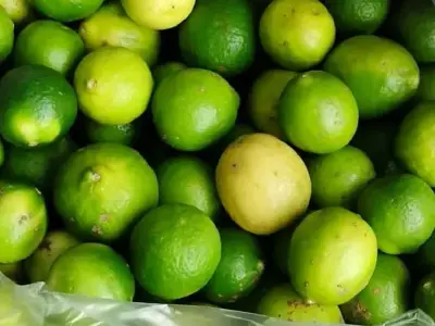 જમીન લે વેચ માટે સંપર્ક કરો* જમીન લે વેચ માટે સંપર્ક કરો*