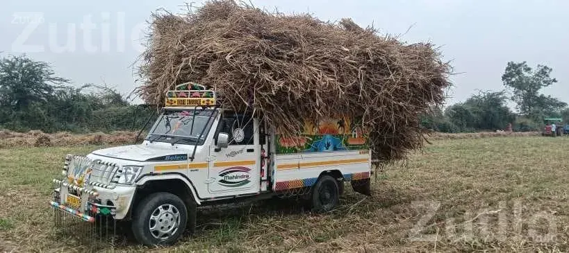 Mahindra Bolero Maxx Truck Plus 2013 - ટ્રક અને લોરી - ભાભર - Image 3