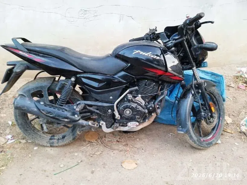 Bajaj Pulsar 125cc 2024 Model Bike - Bikes - Amirgadh - Image 4