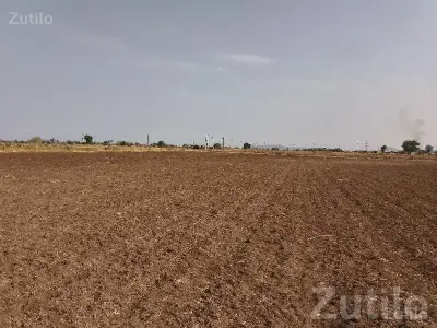 7 Vigha Fertile Open Agricultural Land 7 Vigha Fertile Open Agricultural Land