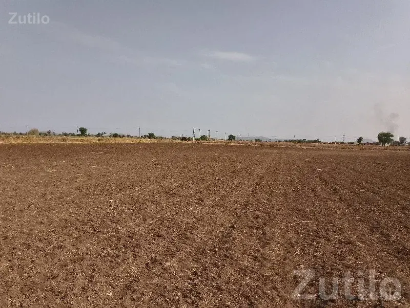 7 Vigha Fertile Open Agricultural Land - જમીન અને પ્લોટ - ધારી - Image 1