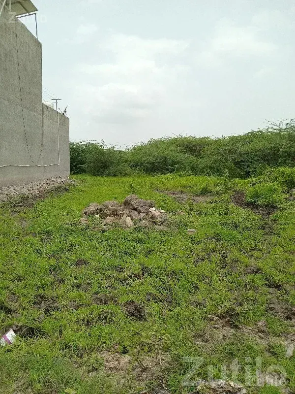 Residential Plot for Sale in Upleta - Land & Plots - Upleta - Image 2