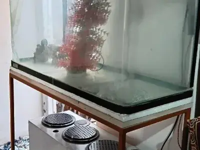 Large Glass Fish Aquarium With Stand Large Glass Fish Aquarium With Stand