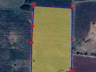 20 Vigha Agricultural Land Kalyanpur 20 Vigha Agricultural Land Kalyanpur