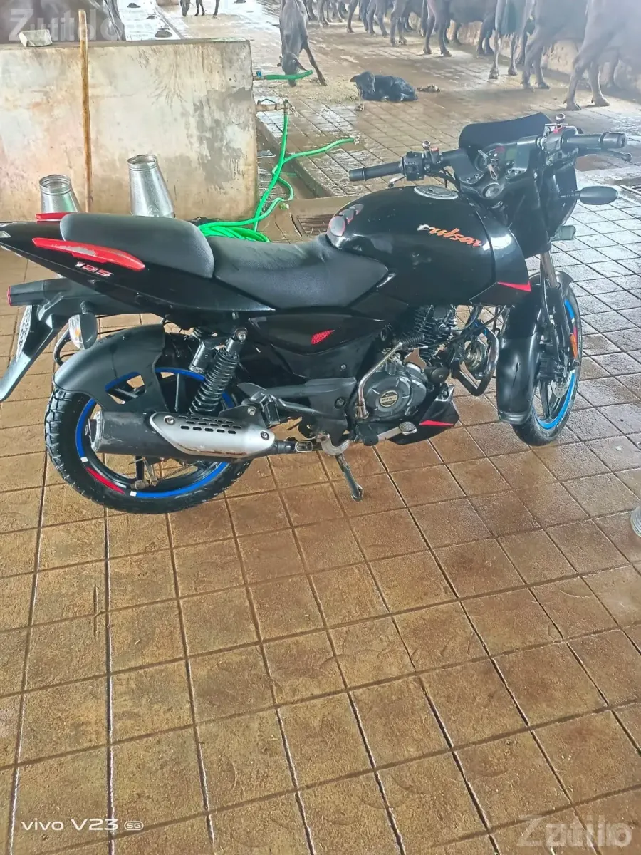 Bajaj Pulsar 125 2021 Model Bike - Bikes - Palanpur - Image 3