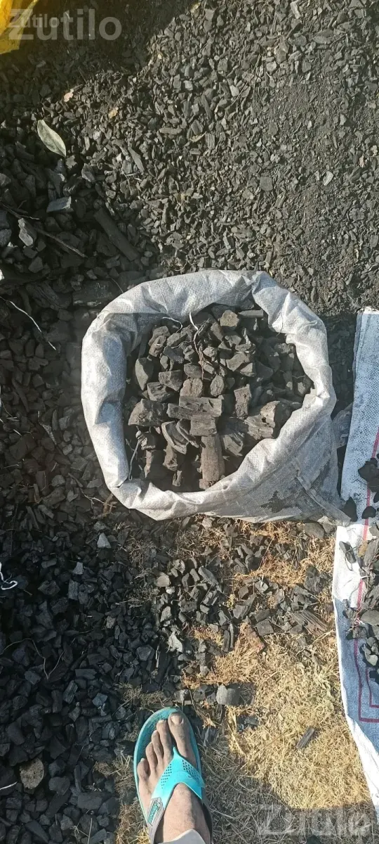 Wood Charcoal for Tandoor and Tea Stalls - Other Industrial Items - Wankaner - Image 2