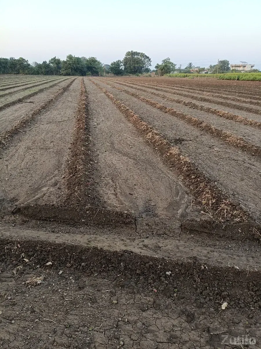 ચોકલી ગામ રોડ ટચ - Land & Plots - Una - Image 2