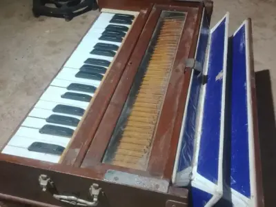 Harmonium in Working Condition for Learning