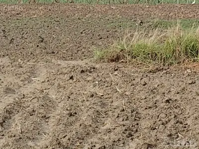 Residential/Farm Plot for Sale Kangshiyali Residential/Farm Plot for Sale Kangshiyali