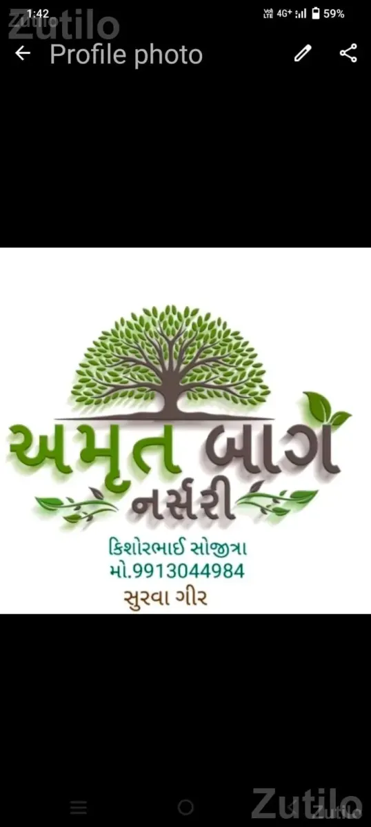 અમૃત બાગ નર્સરી - જમીન અને પ્લોટ - પાલનપુર - Image 3