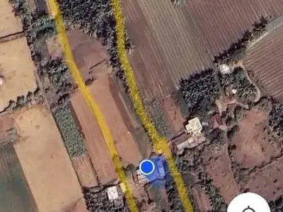 Mangrol Fertile Agriculture Land Plot Mangrol Fertile Agriculture Land Plot