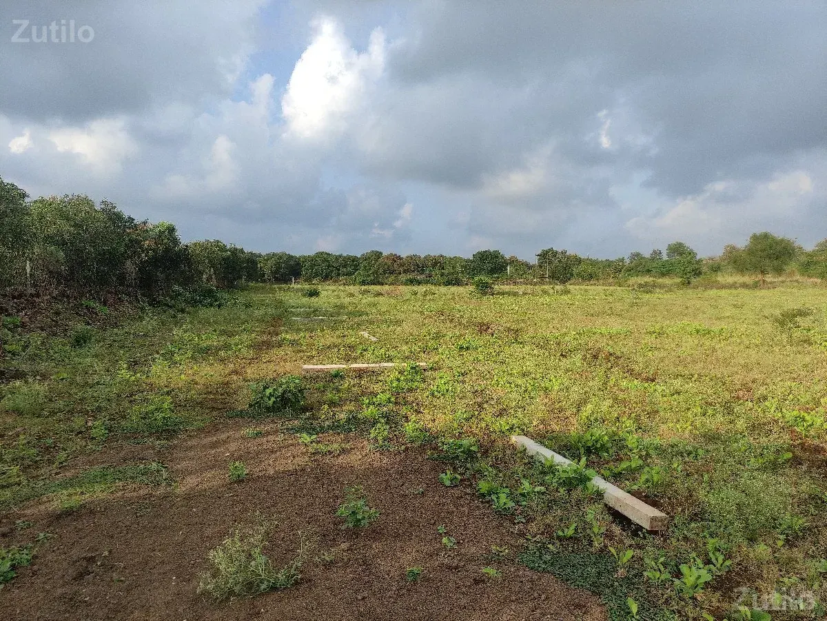 7.5 વિઘા જમીન વેચવાની છે - Land & Plots - Somnath - Image 2