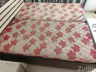 BRANDED KURL ON MATTRESS
