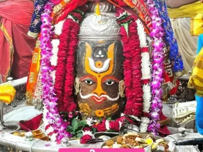 *જમીન લે વેચ માટે સંપર્ક કરો*