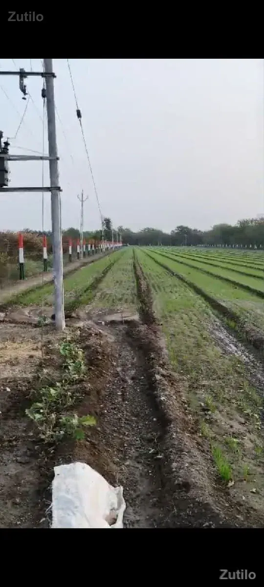 આ જમીન વેચવાની છે - જમીન અને પ્લોટ - ધોરાજી - Image 2