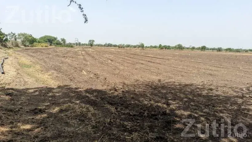 Agricultural Land 8 Vigha 5 Guntha with Well - જમીન અને પ્લોટ - અમરેલી - Image 4
