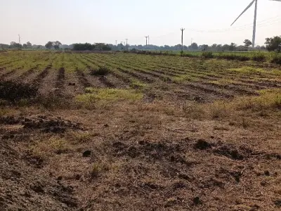 જમીન લેવા - વેચવા માટે ફોન કરો જમીન લેવા - વેચવા માટે ફોન કરો