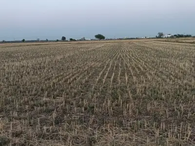 જમીન વેચવાની છે જમીન વેચવાની છે