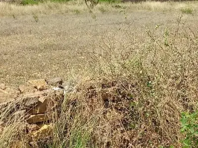 જમીન વેચવાની છે જમીન વેચવાની છે