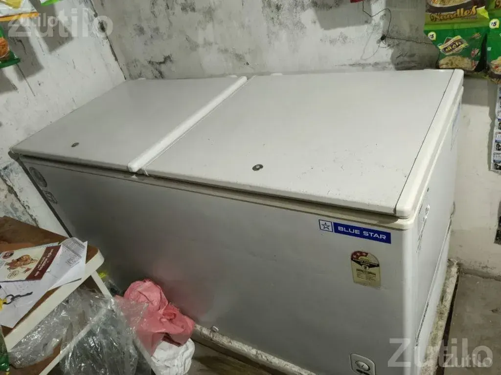 Blue Star Deep Freezer Chest Freezer - Refrigerators - Shankheshwar - Image 2