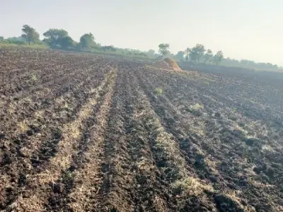 Fertile Agriculture Land in Rajkot Fertile Agriculture Land in Rajkot