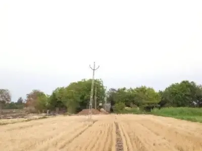 જમીન વેચવાની છે જમીન વેચવાની છે