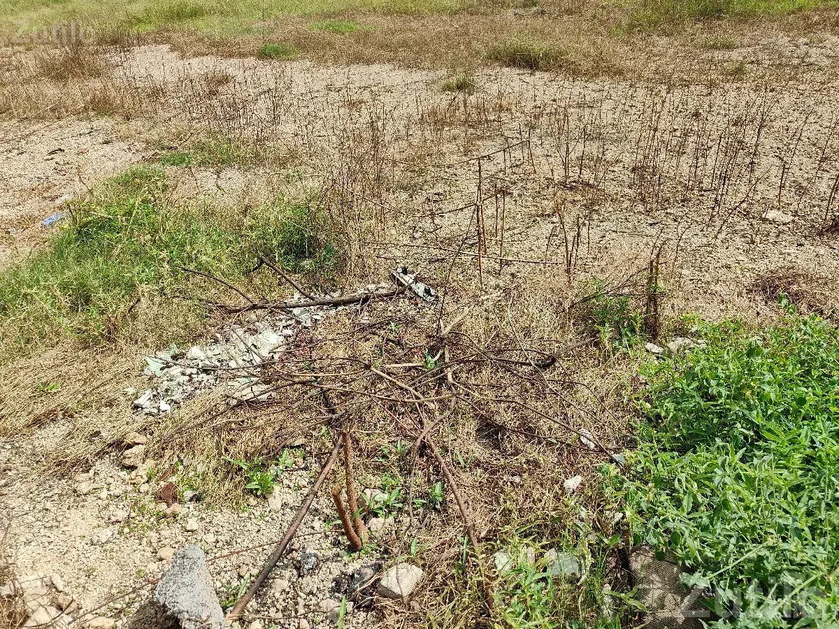 Residential Plots for Sale in Ranavav - Land & Plots - Adityana - Image 1