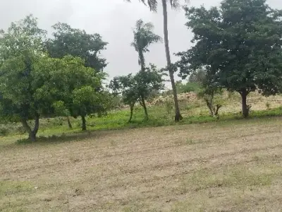 જમીન વેચવાની છે જમીન વેચવાની છે