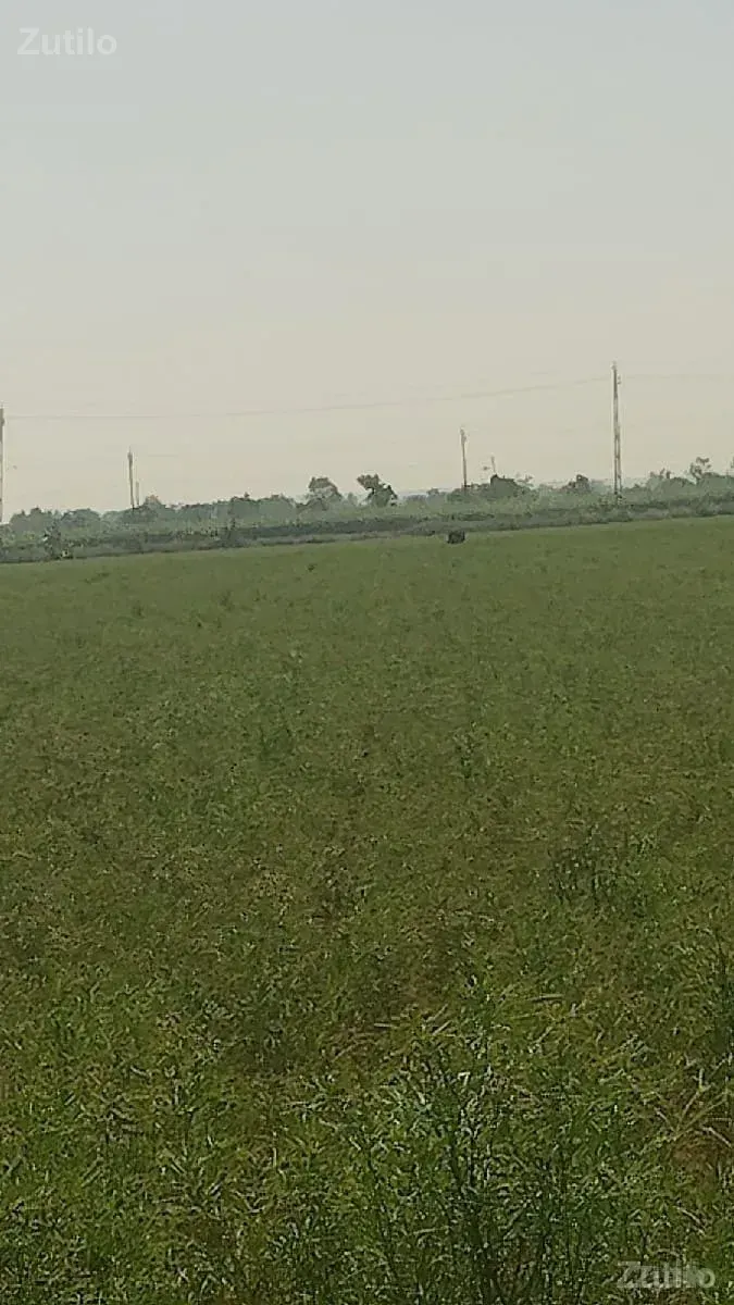 જમીન ભાડે જોઈ છે પડતર કે પાણી વગર ન - Land & Plots - Bhuj - Image 1